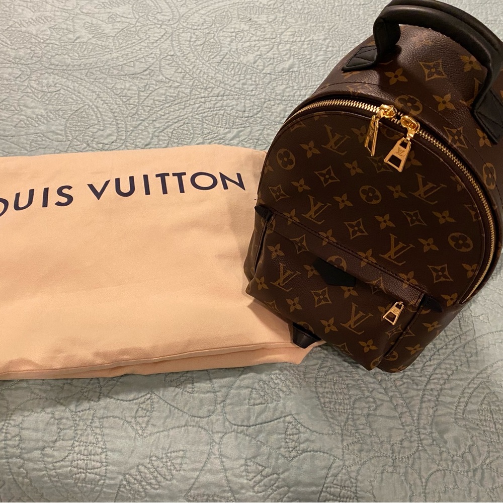 💯 Authentic Louis Vuitton Palm Springs PM